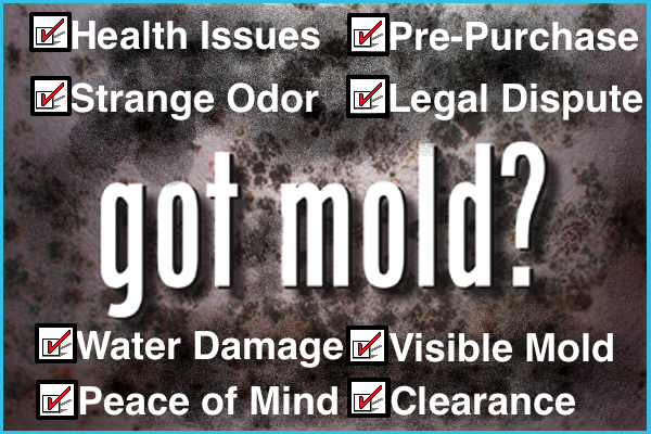 Mold Inspection Detroit